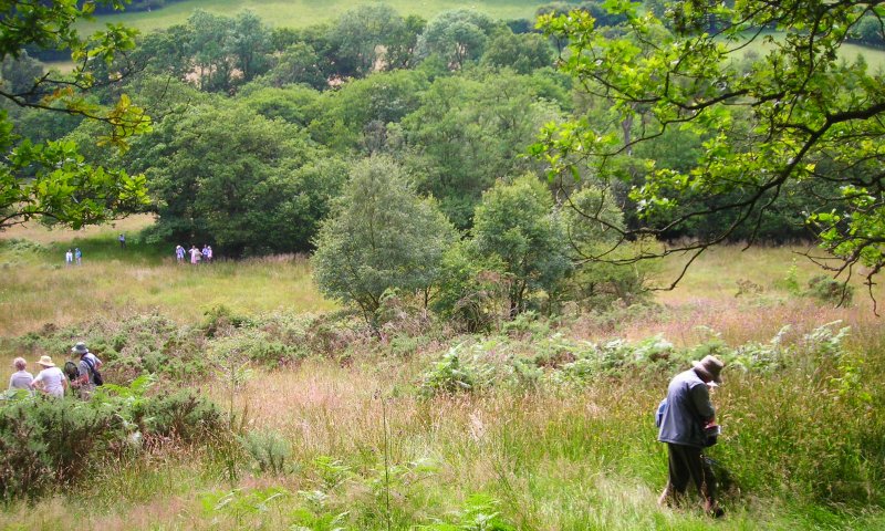 Ryenats members on hillside