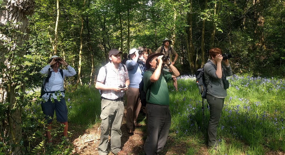 Ryenats members observing pied flycatcher